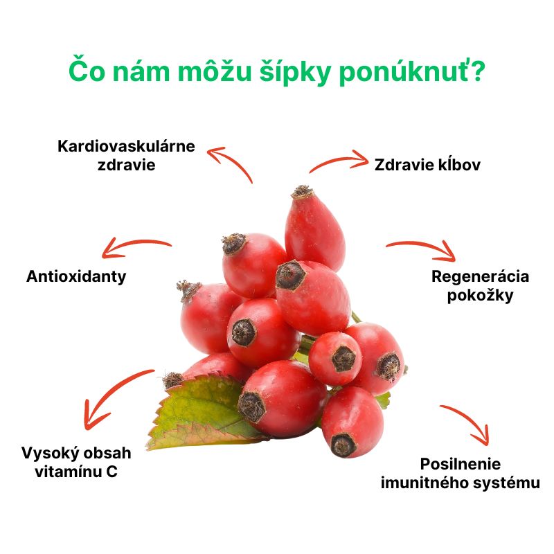 (Slovenčina) Co nám šípky mohou nabídnout